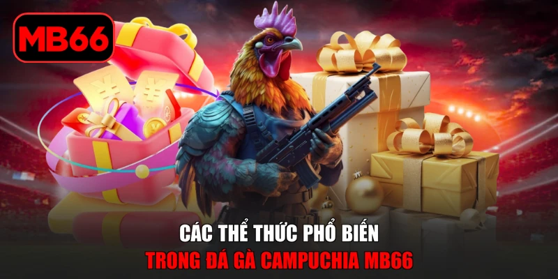 Đá Gà Campuchia MB66 - Khám Phá Trường Đấu Kịch Tính % Các thể thức phổ biến trong đá gà Campuchia MB66