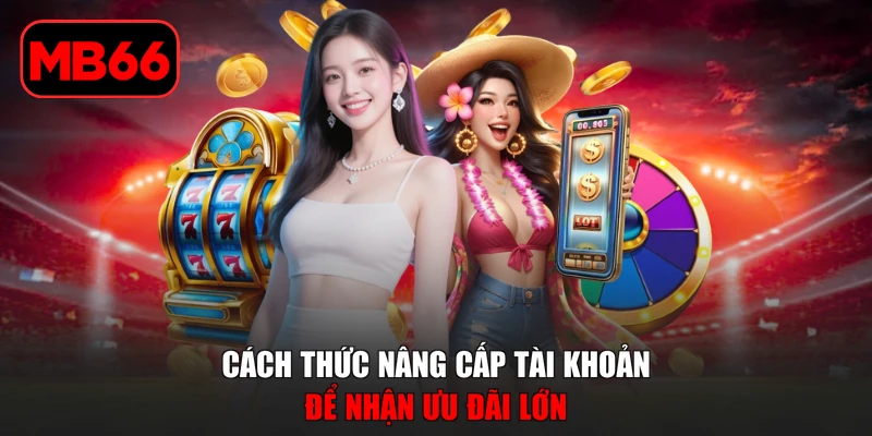 Khuyến Mãi Sảnh MT Với Nhiều Ưu Đãi Hấp Dẫn Cho Thành Viên % Cách thức nâng cấp tài khoản để nhận ưu đãi lớn