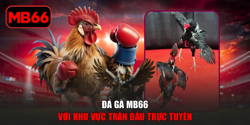 Đá Gà % Đá gà MB66 với khu vực trận đấu trực tuyến