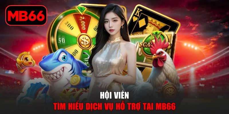 Đánh Giá Nhà Cái MB66 - Phân Tích Các Tiêu Chí Nổi Bật % Hội viên tìm hiểu dịch vụ hỗ trợ tại MB66