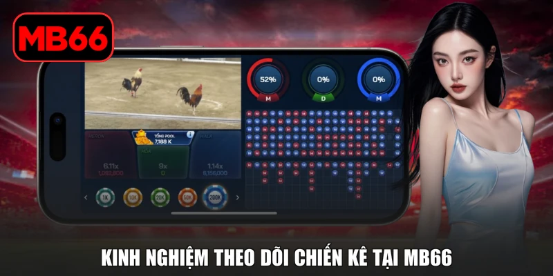 Đá Gà Campuchia MB66 - Khám Phá Trường Đấu Kịch Tính % Kinh nghiệm theo dõi chiến kê tại MB66