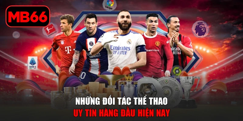 Thể thao % Những đối tác thể thao uy tín hàng đầu hiện nay