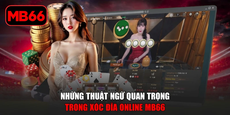 Xóc Đĩa Online MB66 - Đỉnh Cao Cá Cược Trực Tuyến 2026 % Những thuật ngữ quan trọng trong xóc đĩa online MB66