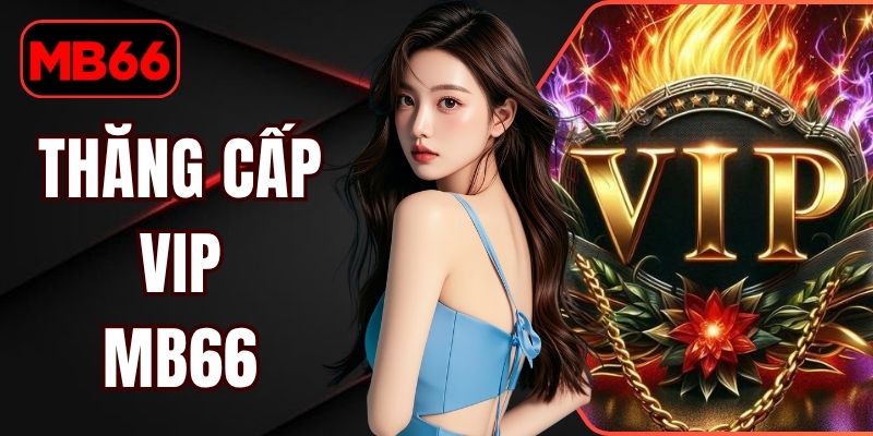 Thăng Cấp VIP MB66 | Nhận Ngay Đặc Quyền Đãi Ngộ Hấp Dẫn % Thăng Cấp VIP MB66